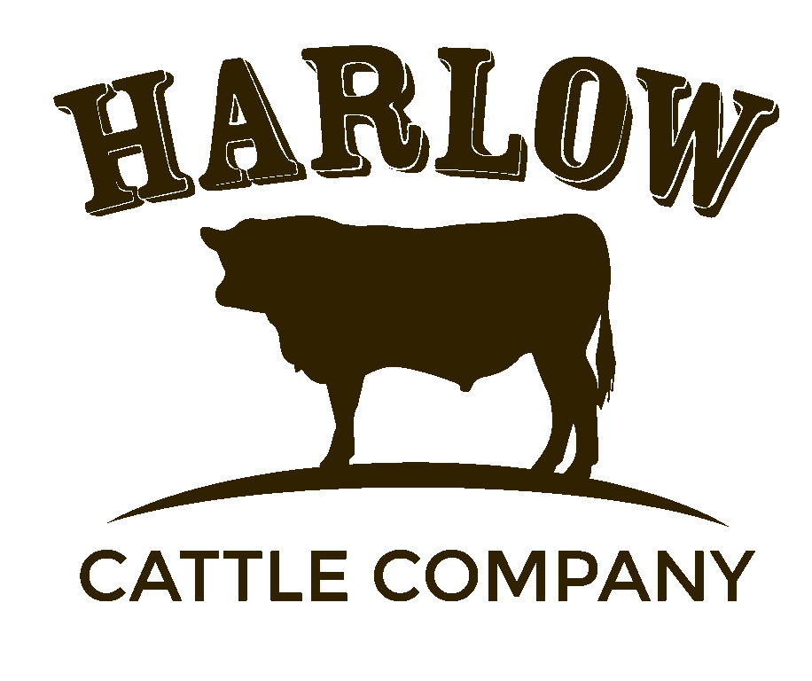 Harlow Cattle Co. Logo around a cow standing in a field.
